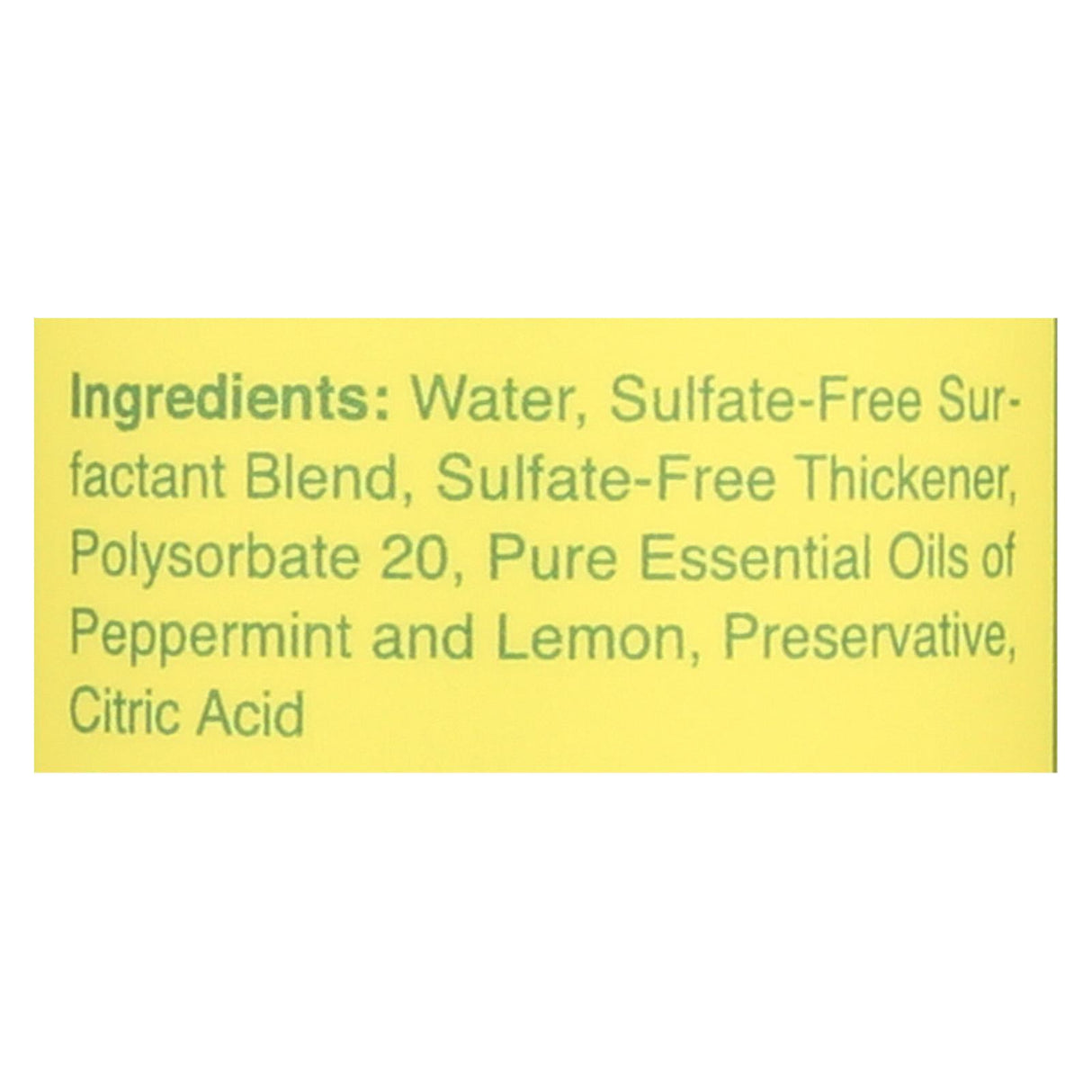 Rebel Green Dish Soap - Peppermint and Lemon 16 Fl Oz (Pack of 4) - Cozy Farm