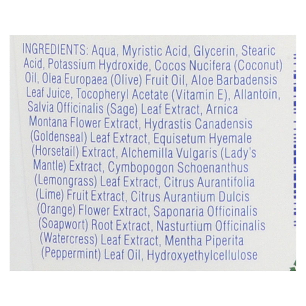 Kiss My Face Cool Mint Moisture Shave Cream (11 Fl Oz.) - Cozy Farm