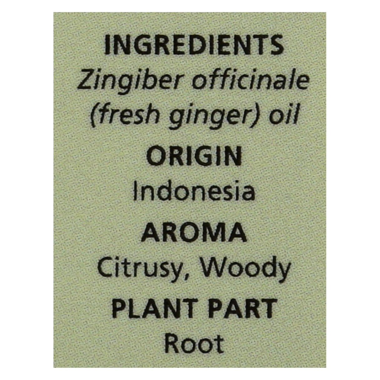 Aura Cacia Fresh Ginger Essential Oil, 0.5 Fl Oz - Cozy Farm