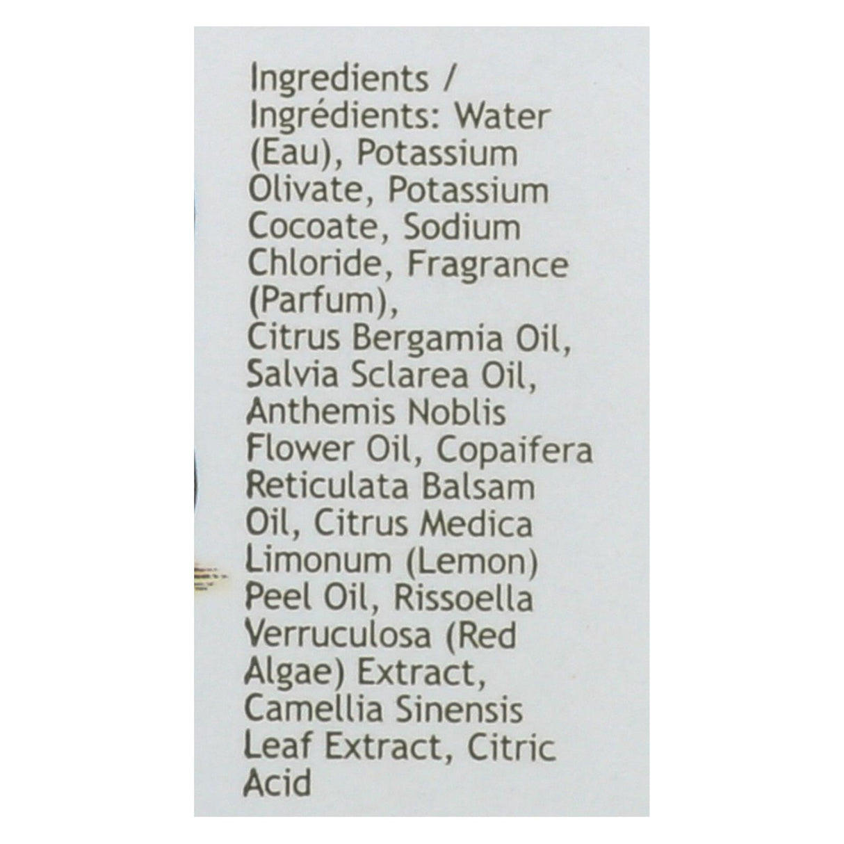 South of France Green Tea Hand Wash (8 Oz) - Cozy Farm