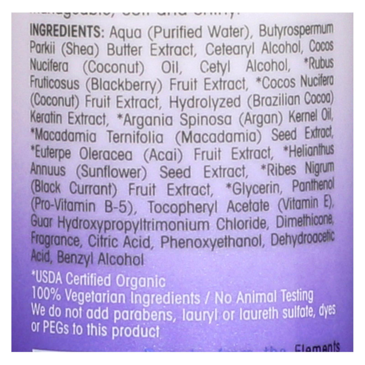 Giovanni Blackberry Coconut Repair Leave-in Conditioner Elixir - 4 Oz - Cozy Farm