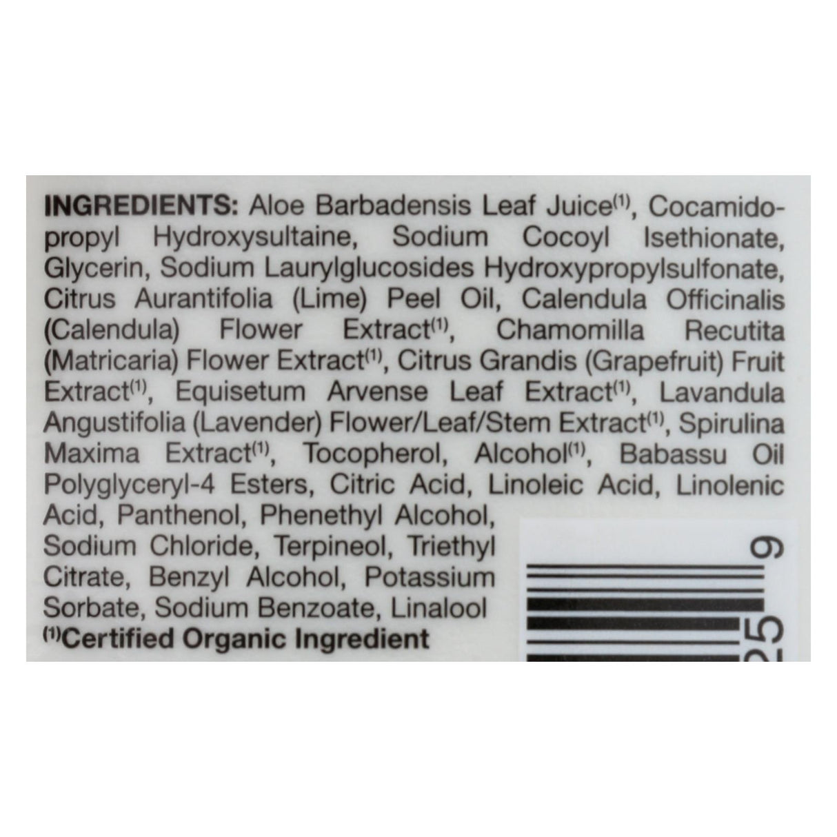 Jason Pure Natural Shampoo for Dry Hair with Aloe Vera (16 Fl Oz) - Cozy Farm