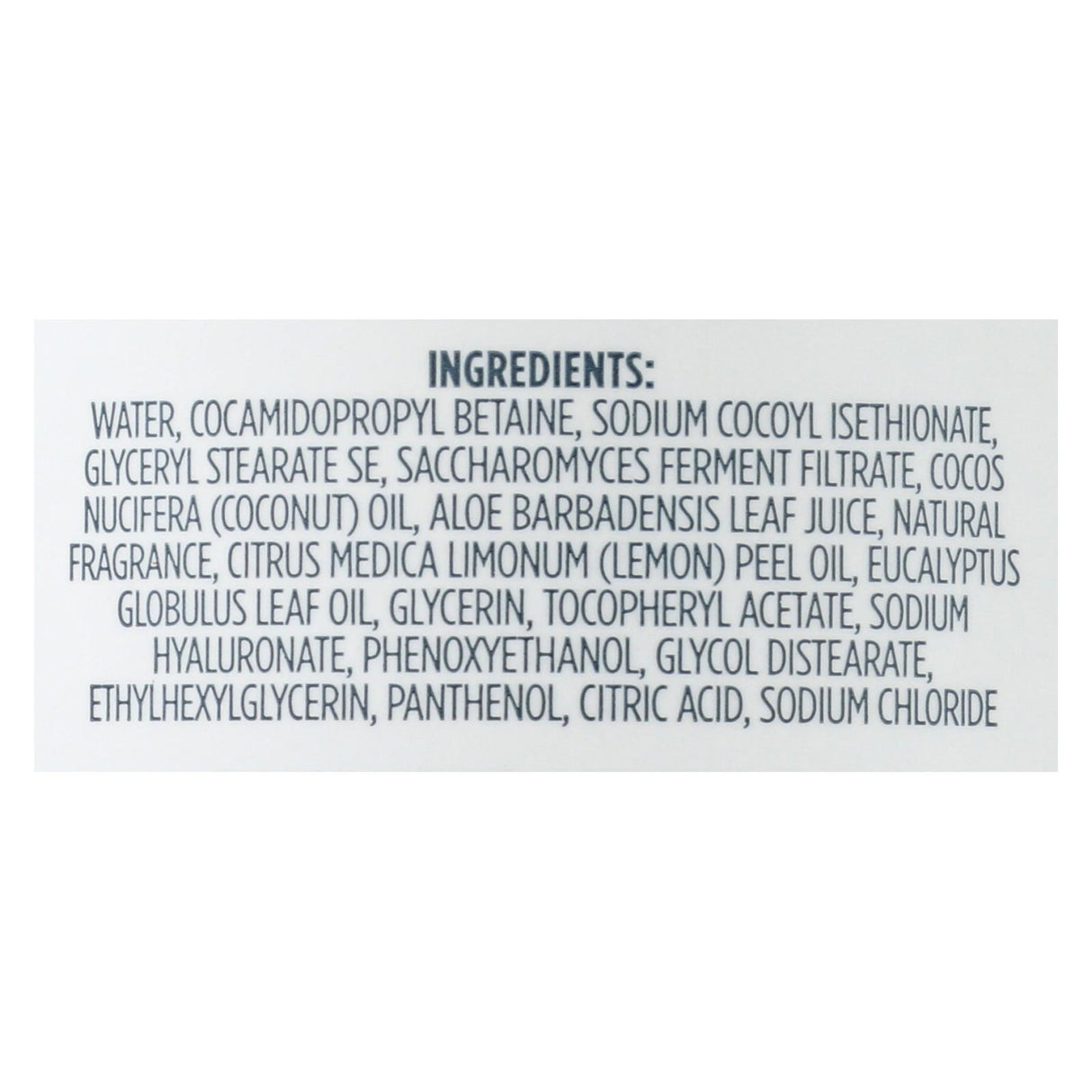 Kirk's Natural Lemon Eucalyptus Hand Soap, 12 Fl. Oz. - Cozy Farm