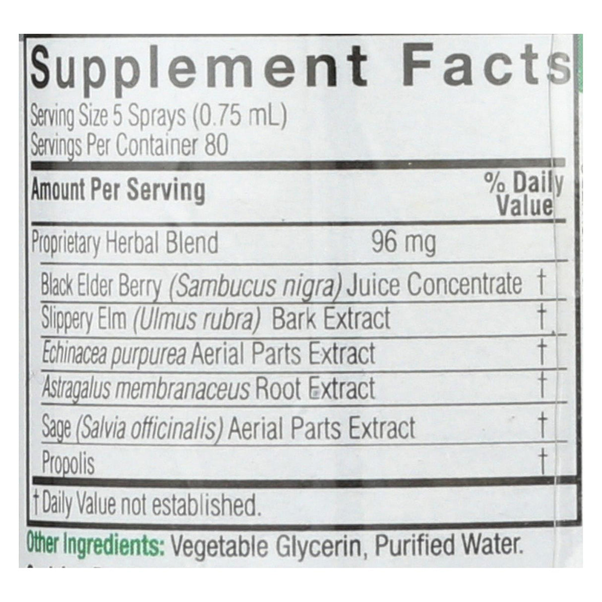 Nature's Answer Black Elderberry Extract Spray, Boosts Immune Health (2 Fl Oz) - Cozy Farm