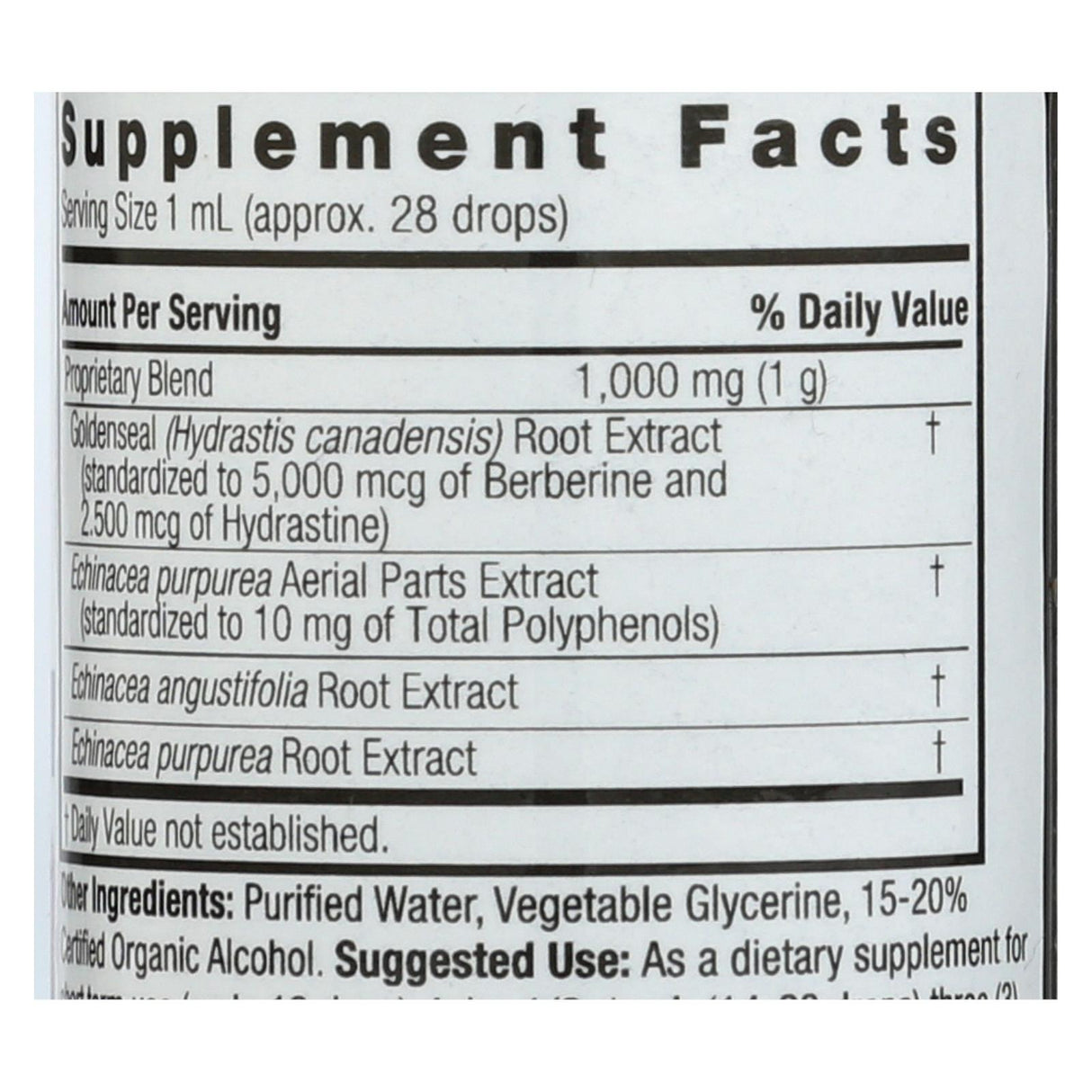 Nature's Answer Echinacea Goldenseal Tincture, Immune Support, 1 Oz - Cozy Farm