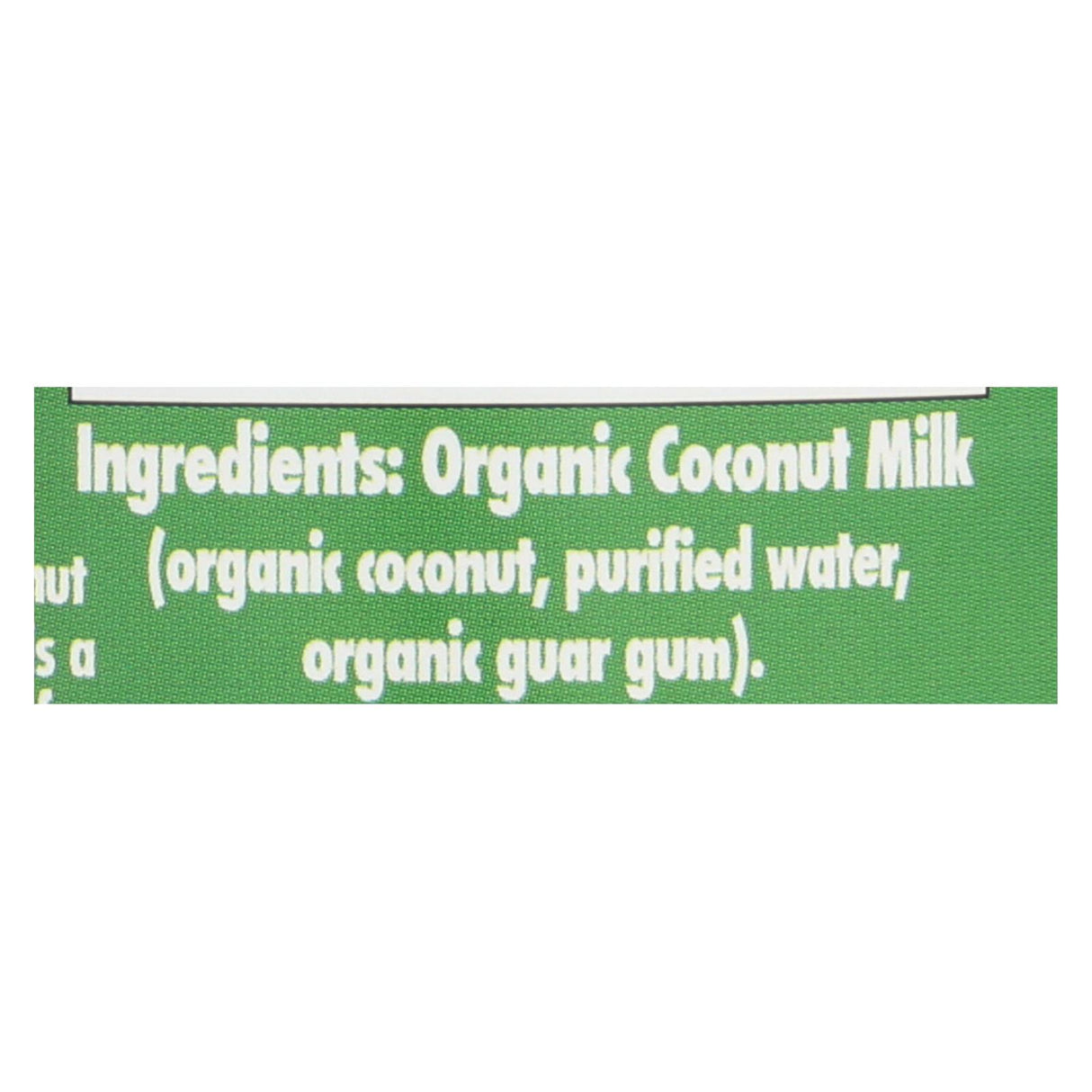 Native Forest Whole Organic Light Coconut Milk (Pack of 12) - Cozy Farm