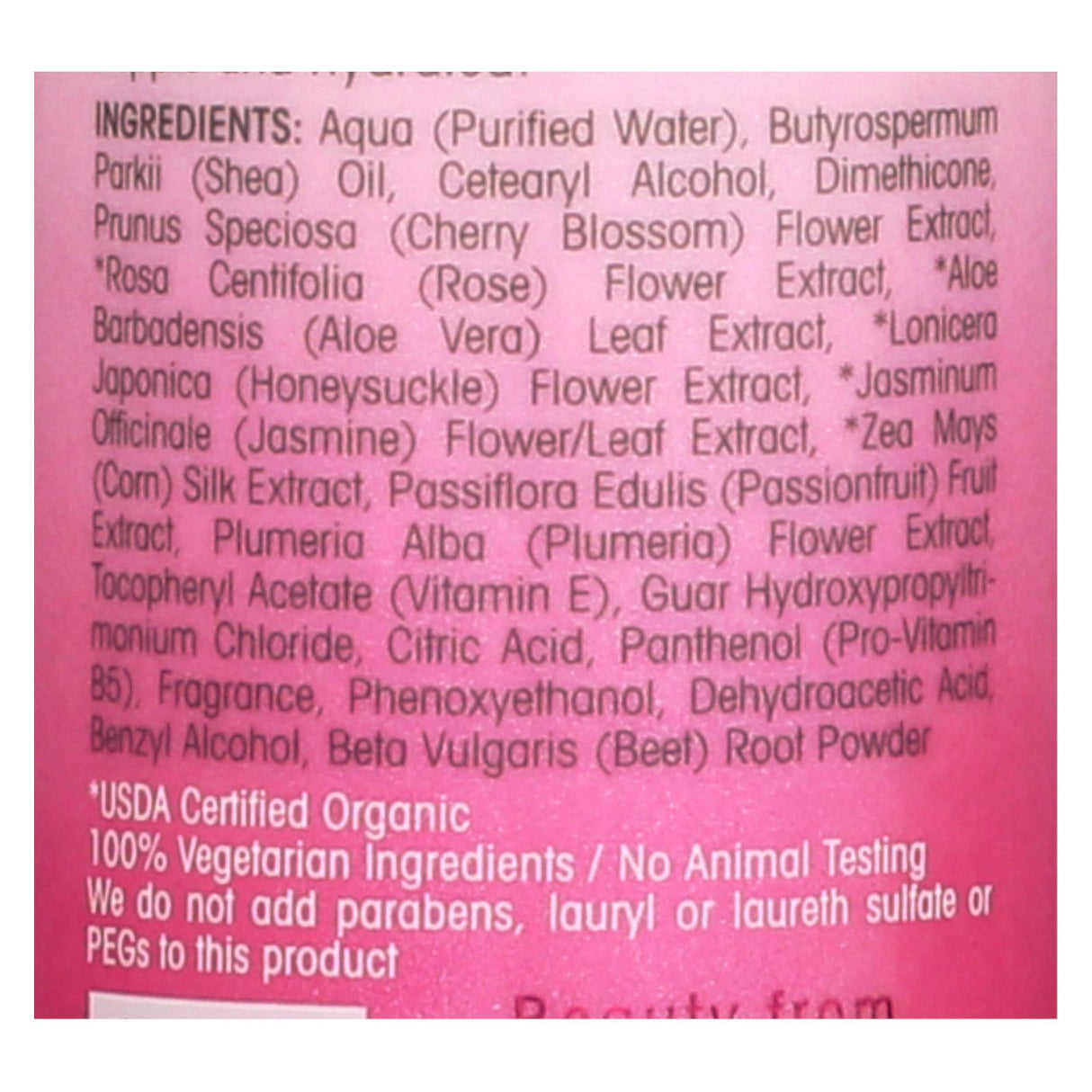 Giovanni 2chic Leave-in Cherry Conditioner - 4 Fl Oz. - Cozy Farm