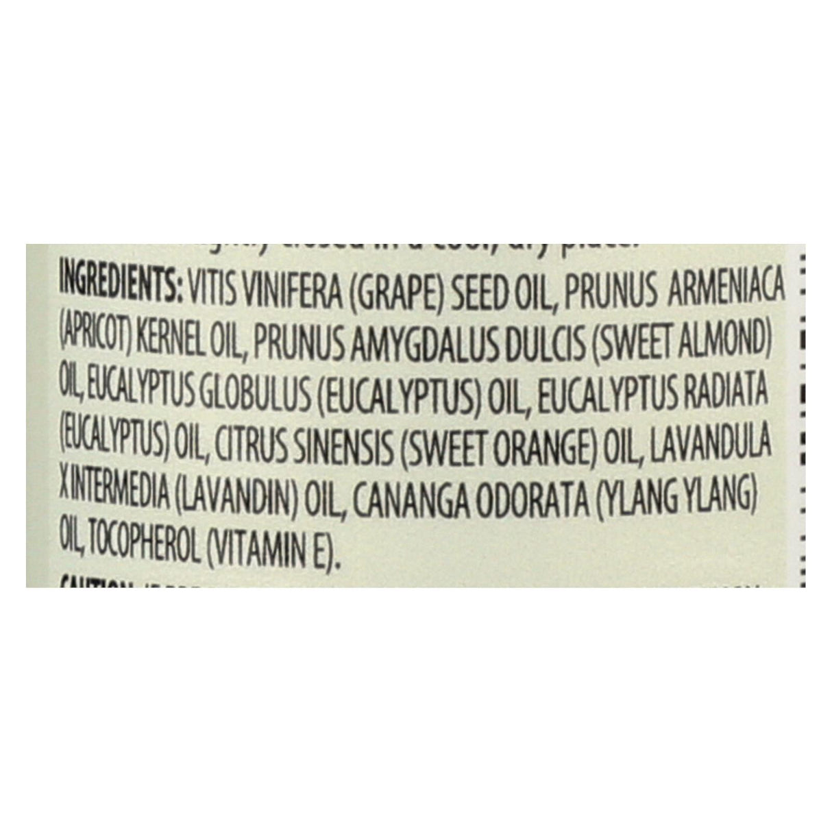 Aura Cacia Aromatherapy Bath, Body and Massage Oil - Eucalyptus Harvest 4 Fl Oz - Cozy Farm