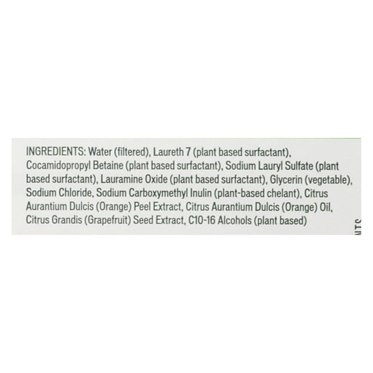 Biokleen All-Purpose Cleaner Concentrate, 32 fl.oz. Pack of 6 - Cozy Farm