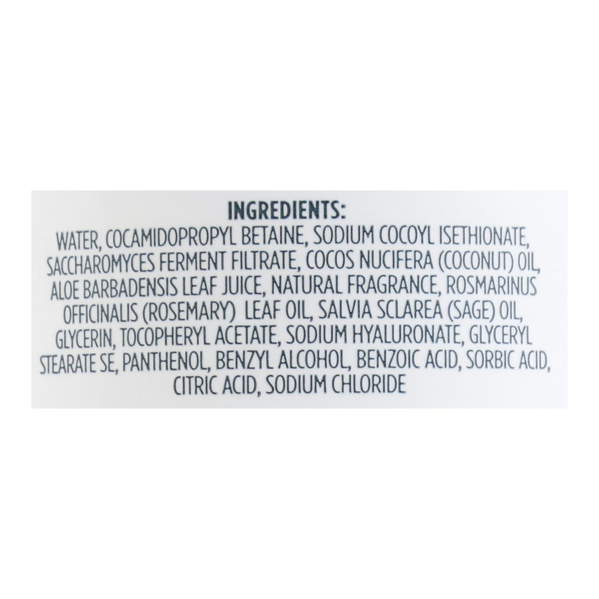 Kirk's Premium Hand Soap in Rosemary Sage Scent, 12 Oz - Cozy Farm