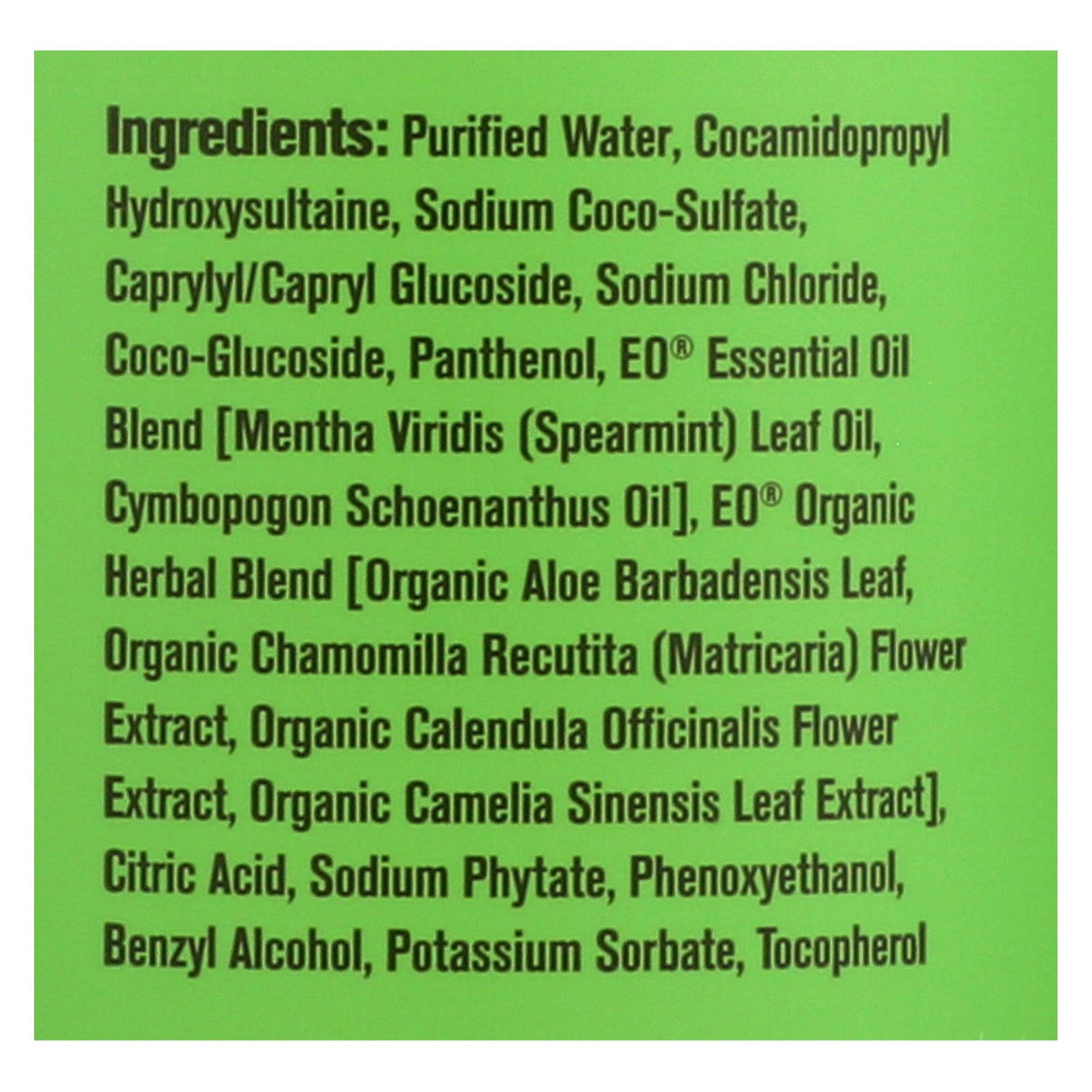 Everyone Spearmint and Lemongrass Hand Soap - 12.75 Oz - Cozy Farm