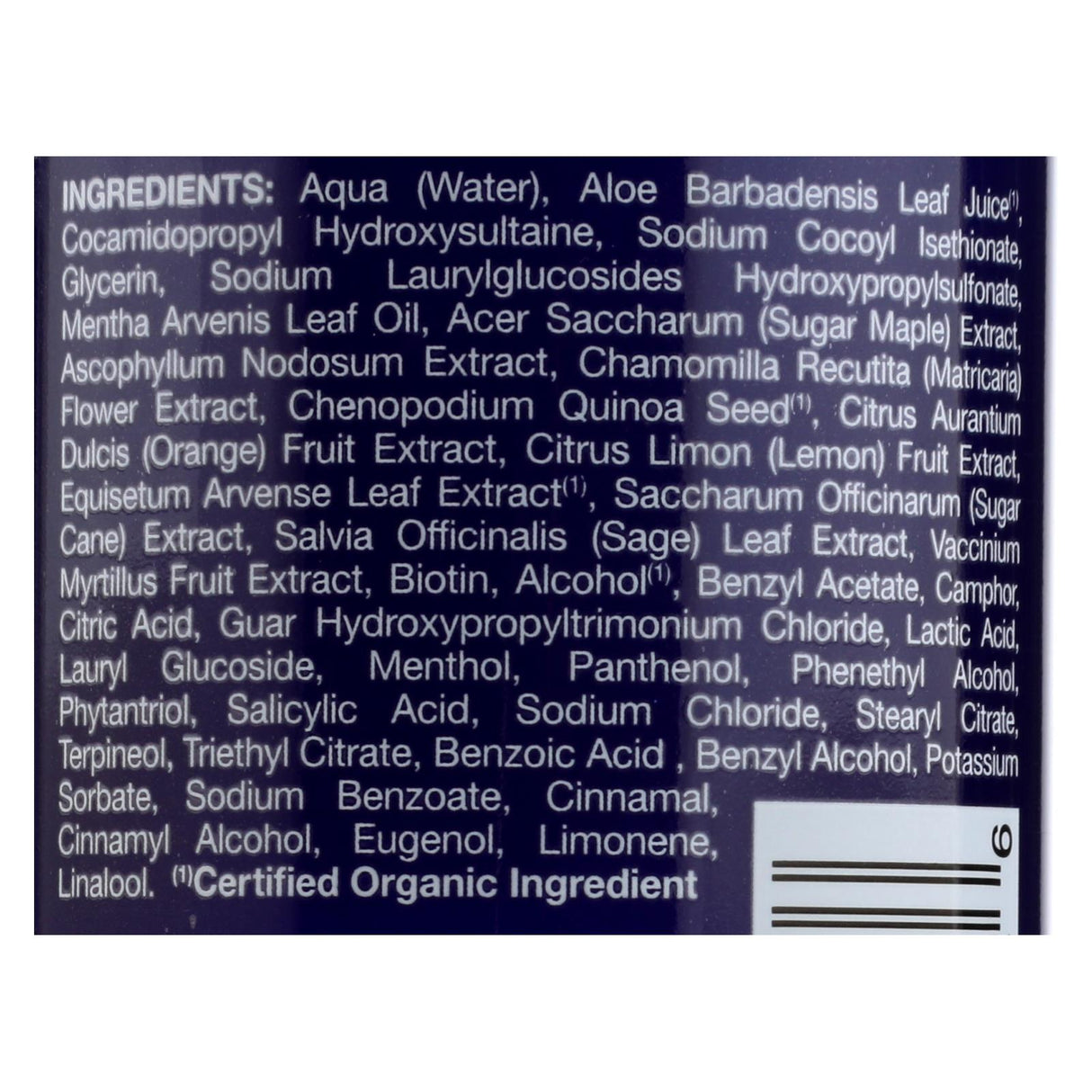 Jason Thickening Shampoo for Voluminous, Fuller Hair (8 Fl Oz) - Cozy Farm