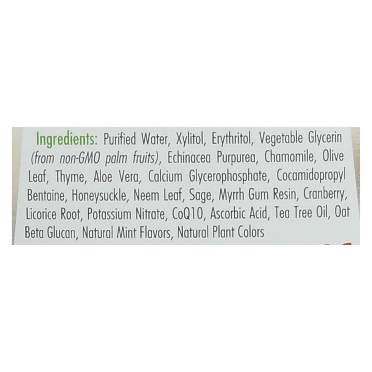 Spry Herbal Mint Mouthwash - Alcohol Free - 16 Oz - Cozy Farm