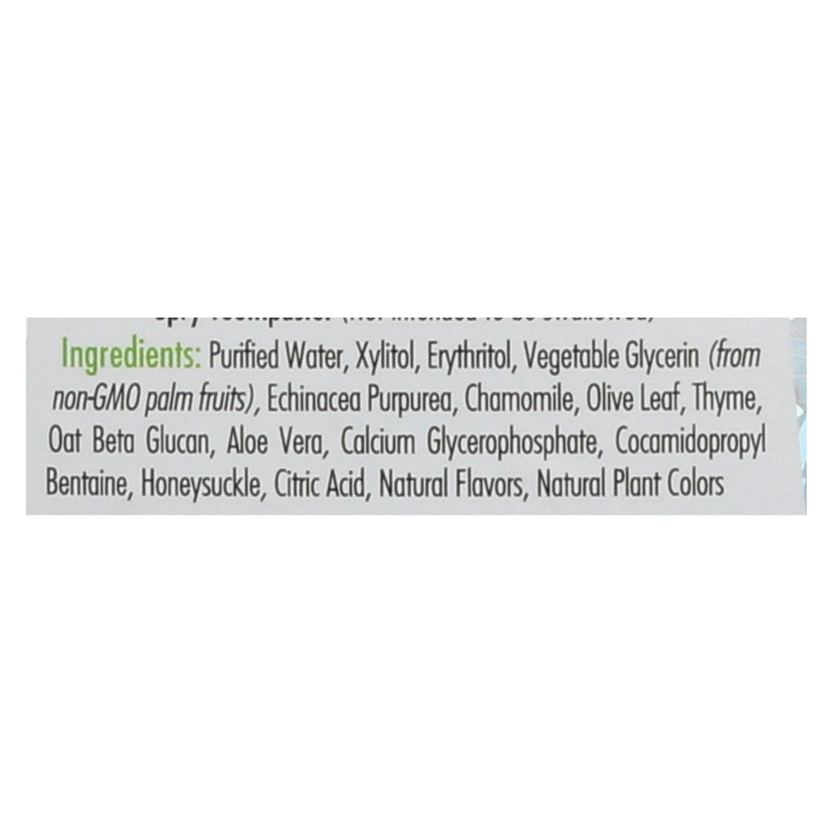 Spry Kid's Bubble Gum Mouthwash - 16 Fl Oz - Cozy Farm