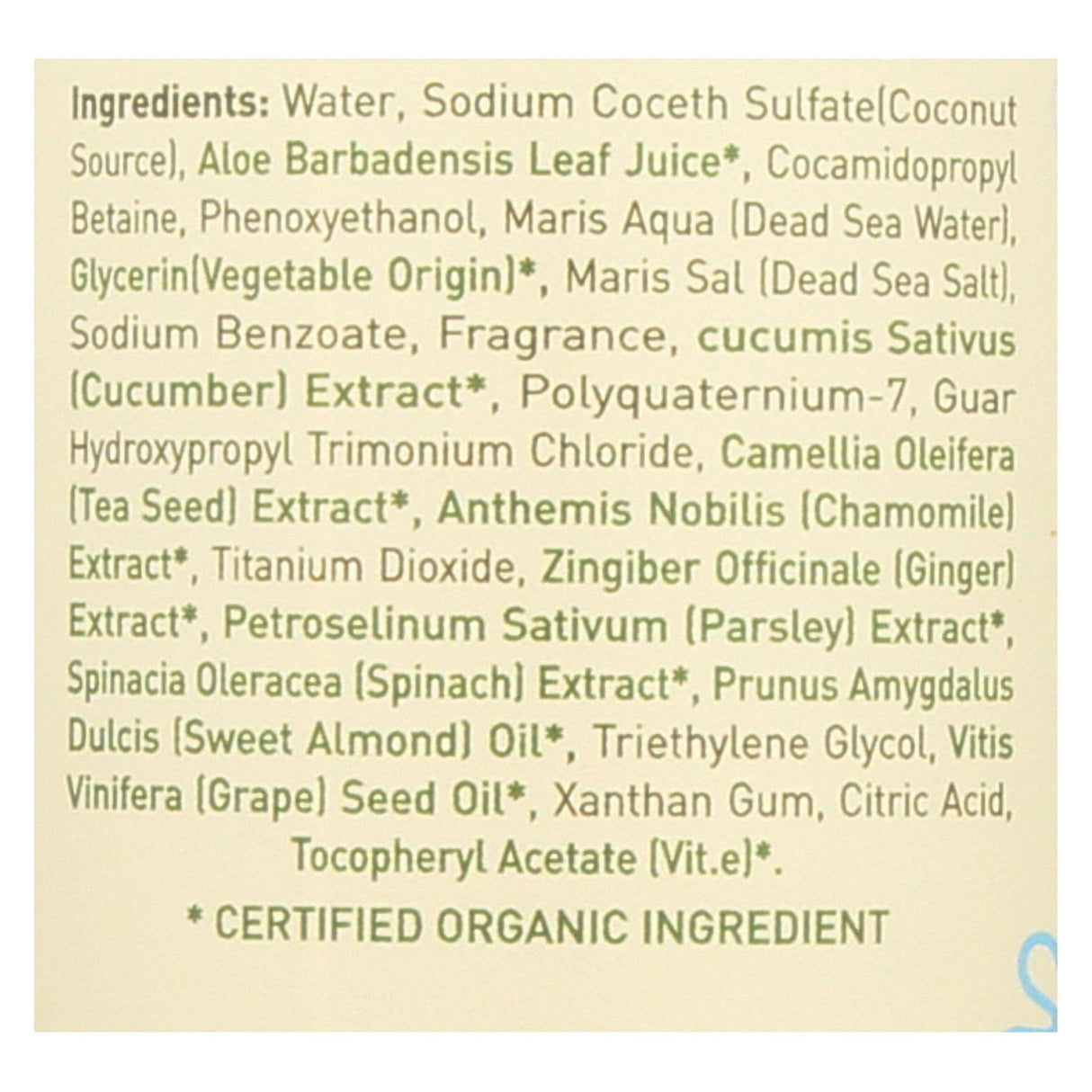 Ecolove Green Vegetable Family Shampoo - 17.6 Fl Oz - Cozy Farm