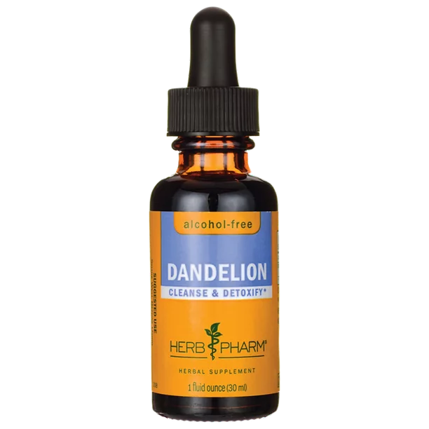 Herb Pharm Dandelion Glycerite - 1 Fl Oz - Cozy Farm
