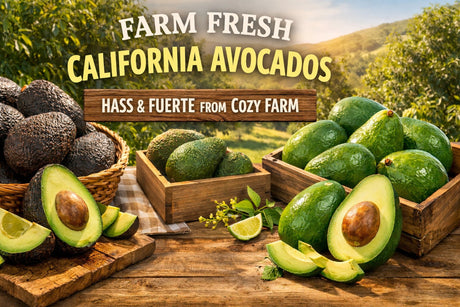 Farm fresh California Hass and Fuerte avocados displayed on a rustic wooden table with orchard background, showcasing whole and sliced avocados.
