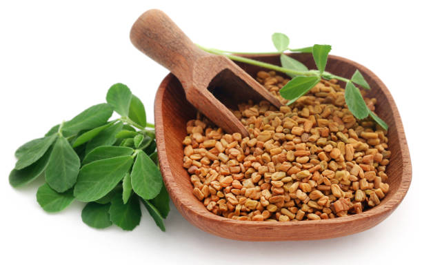 The Magic of Fenugreek: Uncovering Its Uses, Benefits, and Cozy Farm Products