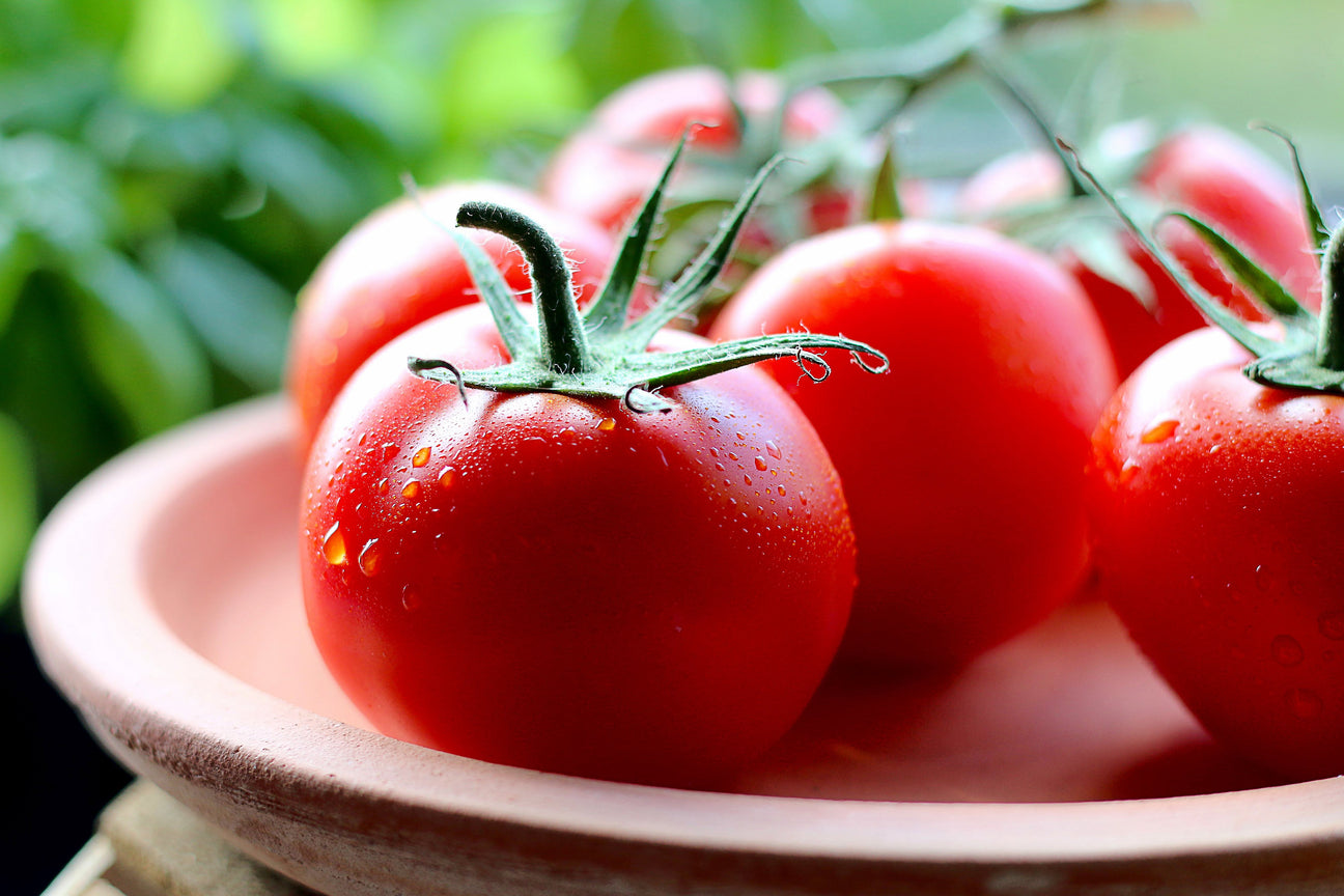 Savory Tomato Products | Taste of the Italian Vineyard