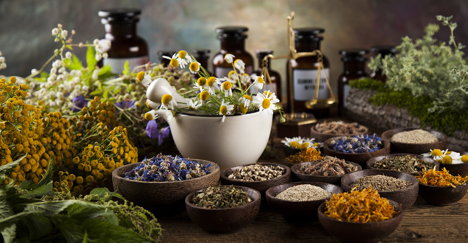 Organic Botanicals | Herbal Remedies