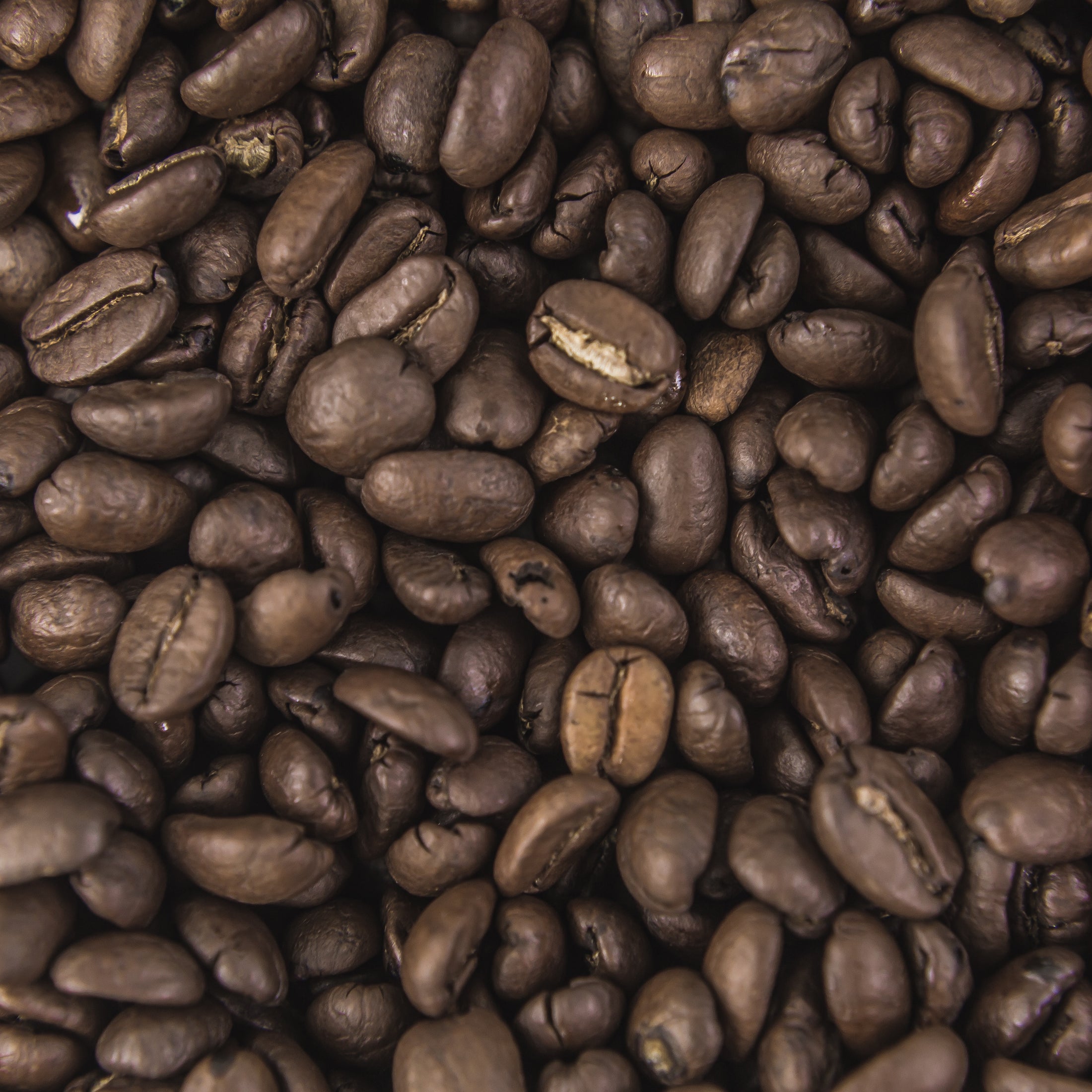 Organic Coffee | Fair Trade Beans, Ground & Espresso