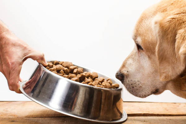 Pet Food &amp; Treats
