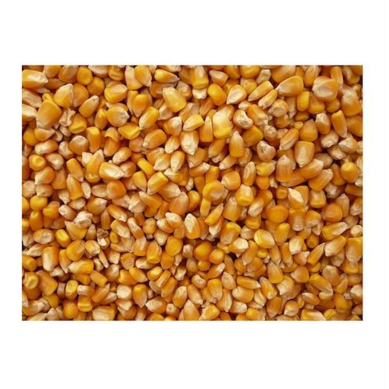 Premium Organic Yellow Popcorn - 5lb Bulk Pack for Healthy Snacking - Cozy Farm 