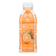 Ready Water - Water Protein Orange Mango - Case Of 12-16.9 Fz - Cozy Farm 