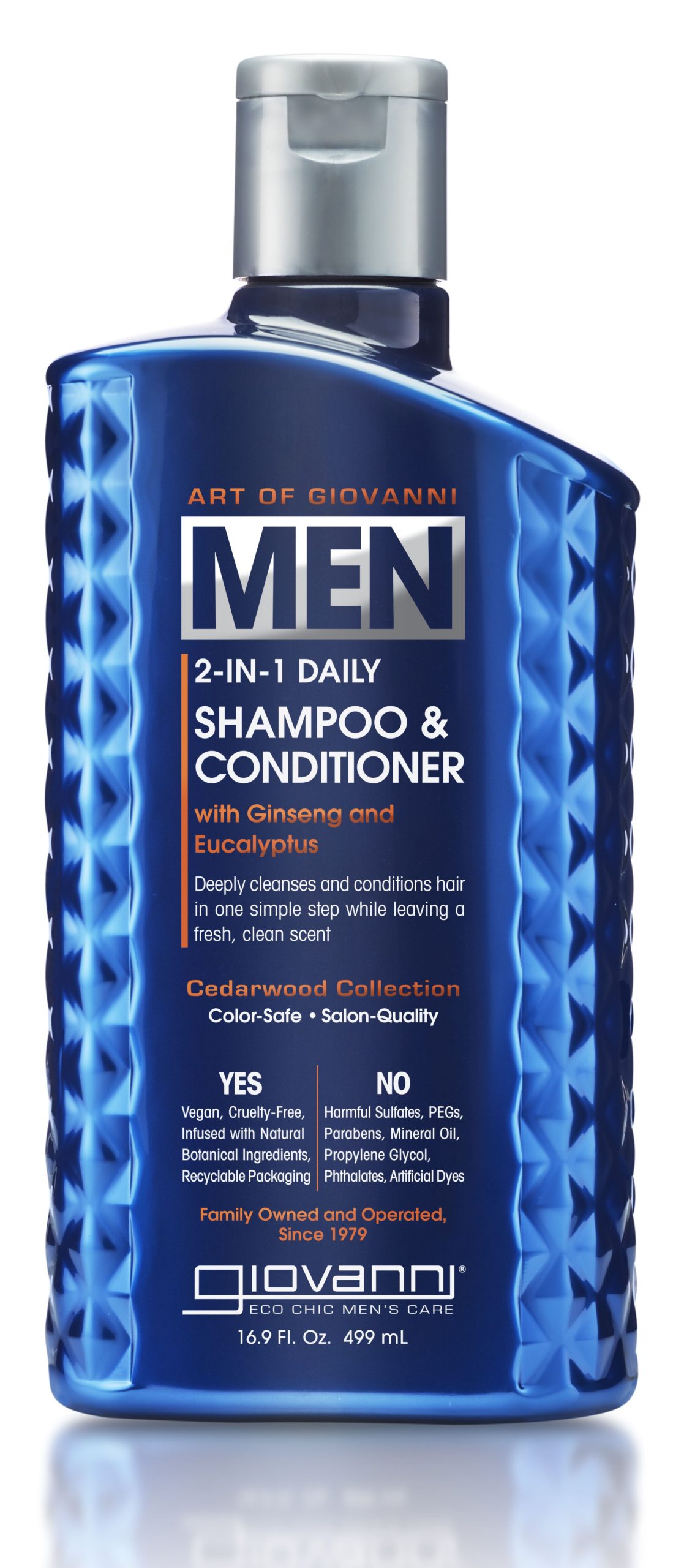 18770_Mens_ShampooConditioner_2-in-1_16.9oz-scaled.1666382856856.jpg