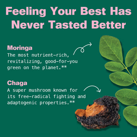 Promotional graphic about Moringa and Chaga with text and images on a green background.