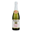 Martinelli's Sparkling Apple Cider 6-Pack: Refreshing & Festive - Shop Now!