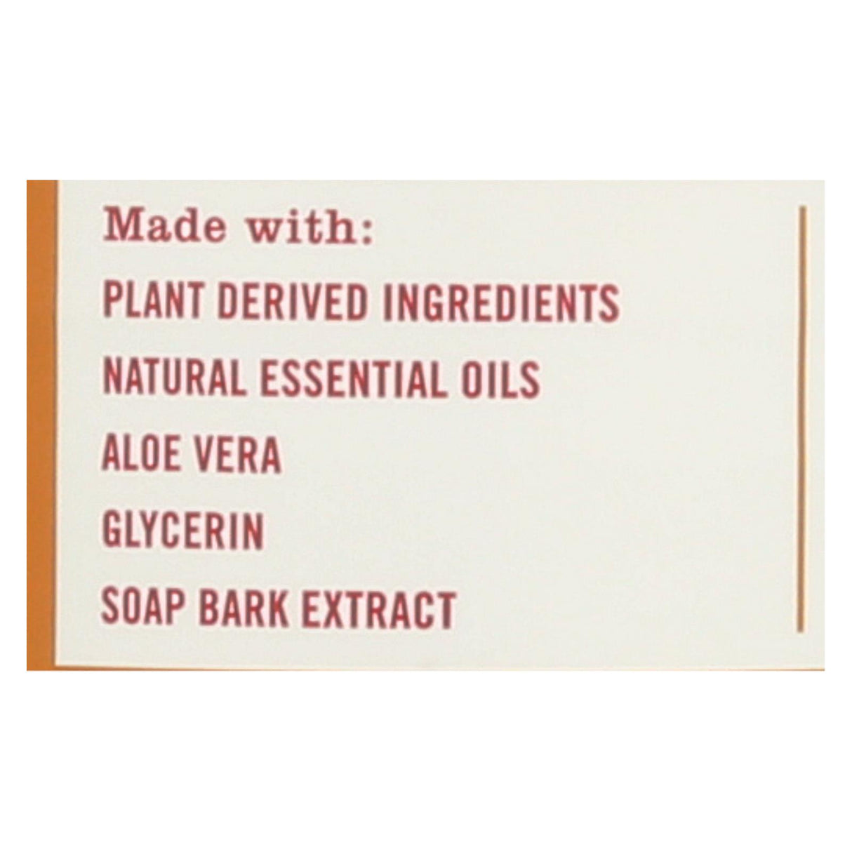 This Amazing Seasonal Scented Mrs. Meyer's Apple Cider Dish Soap  - Case Of 6 - 16 Fz - Cozy Farm 