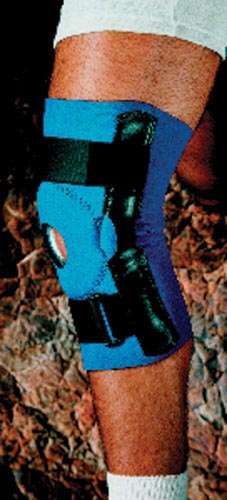 230020355.jpg