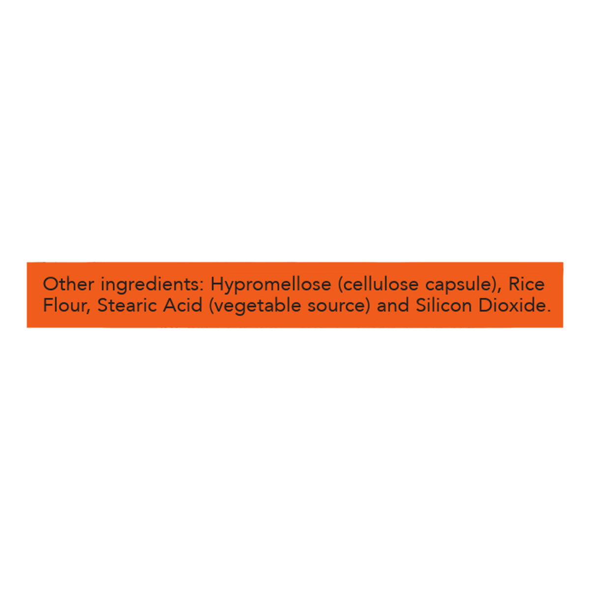 260201101.jpg
