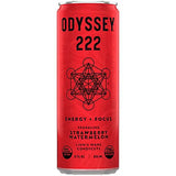 Odyssey - Spark Energy Strawberry Watermelon, 12 fl oz (12 Pack) - Kosher Energy Drink