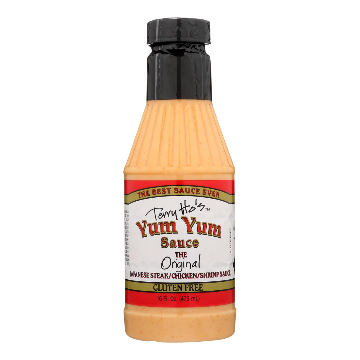 Terry Ho's: Asian Sauces and Dips for a Culinary Adventure