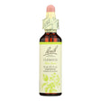 Bach Flower Remedies Essence Clematis - 0.7 Fl Oz - Pack of 3