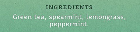 Stash Tea Organic Moroccan Mint Green Tea Bags, USDA Organic, Case of 6 (20 Count)