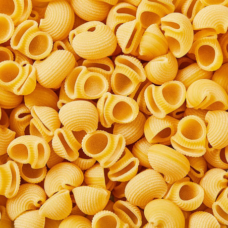 373903146.jpg