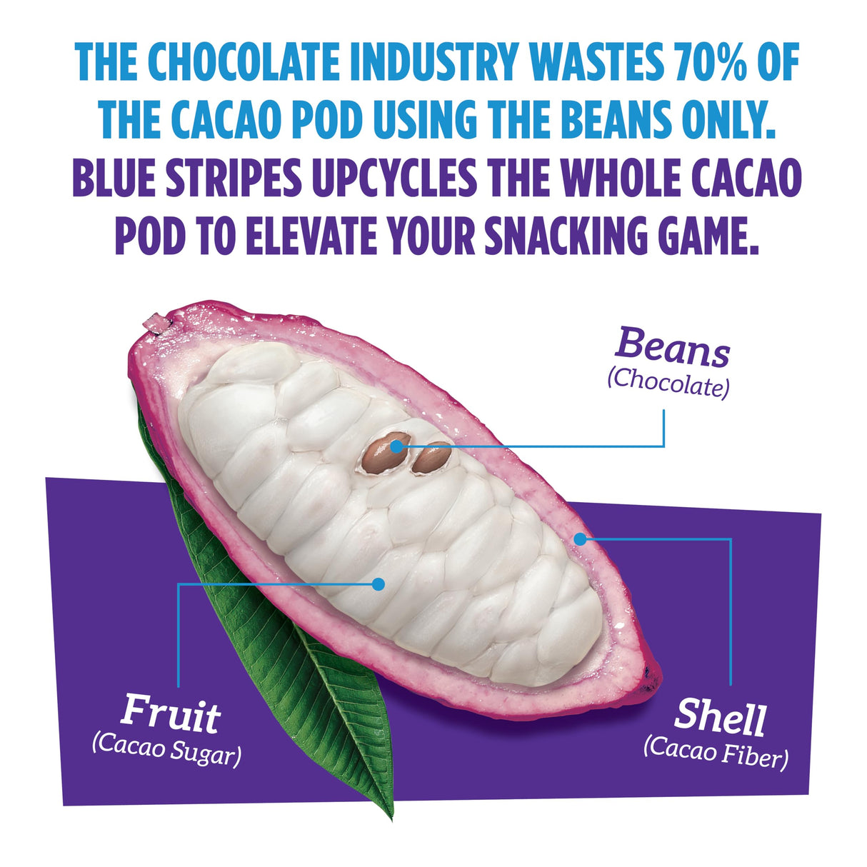 373920660.jpg