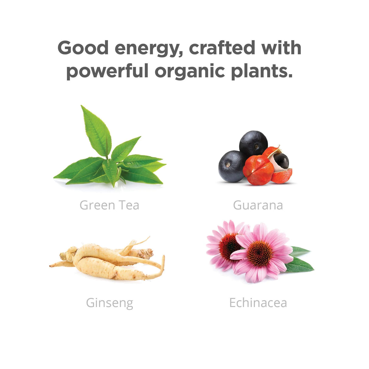 Illustration of green tea, guarana berries, ginseng root, and echinacea flower with text 'Good energy, crafted with powerful organic plants.'.