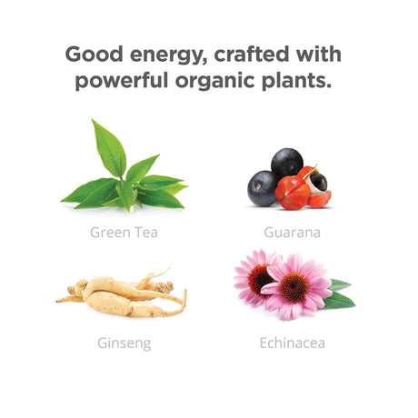 Illustration of green tea, guarana berries, ginseng root, and echinacea flower with text 'Good energy, crafted with powerful organic plants.'.