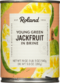 45021-young-green-jackfruit-in-brine-main-600.1681202279798.png