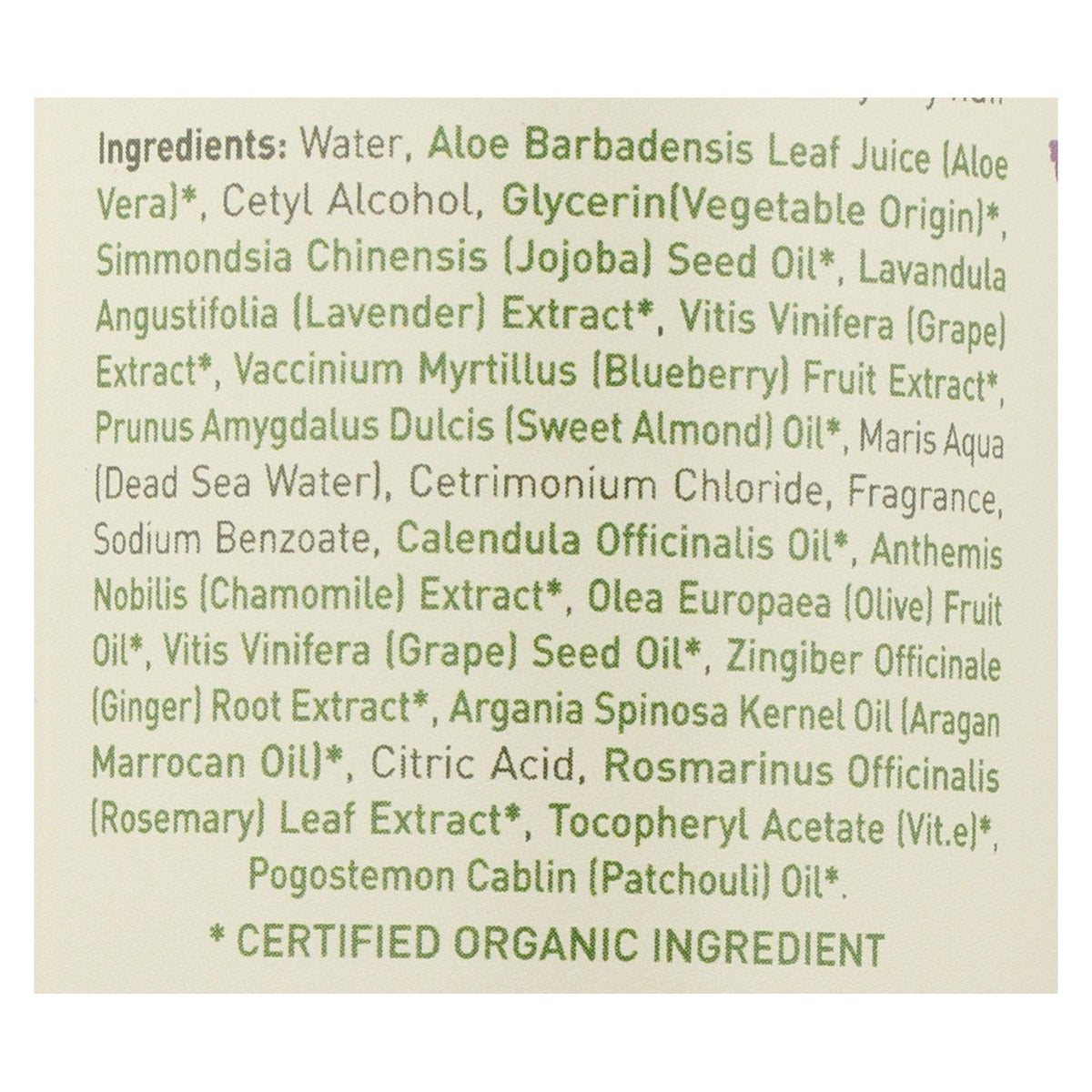 50258410.jpg