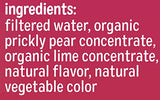 真仙人掌水 - 仙人掌果 - 12 包 - 每包 16.9 盎司