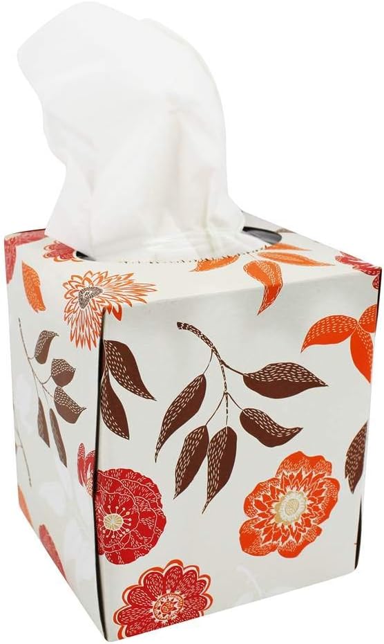 Natural Value Facial Tissue 2-Ply, Case of 36 - 85 Count per Box - Cozy Farm 