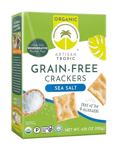 Artisan Tropic Organic Grain Free Sea Salt Crackers, 4.25 oz (Pack of 6) - Gluten Free Snacks