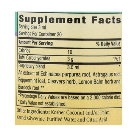 Herbs For Kids Echinacea Astragalus Liquid Extract - 2 Fl Oz. - Cozy Farm 