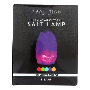 Evolution Salt Lamp  - USB Natural Multi-Color Changing - Cozy Farm 