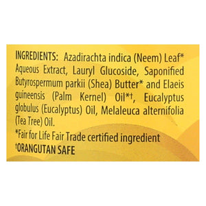 Alaffia African Black Soap with Eucalyptus and Tea Tree - 32 Fl Oz - Cozy Farm 